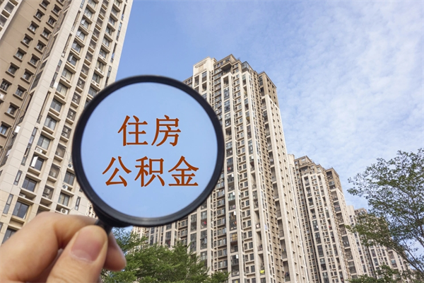福州深圳公积金（深圳公积金首页）